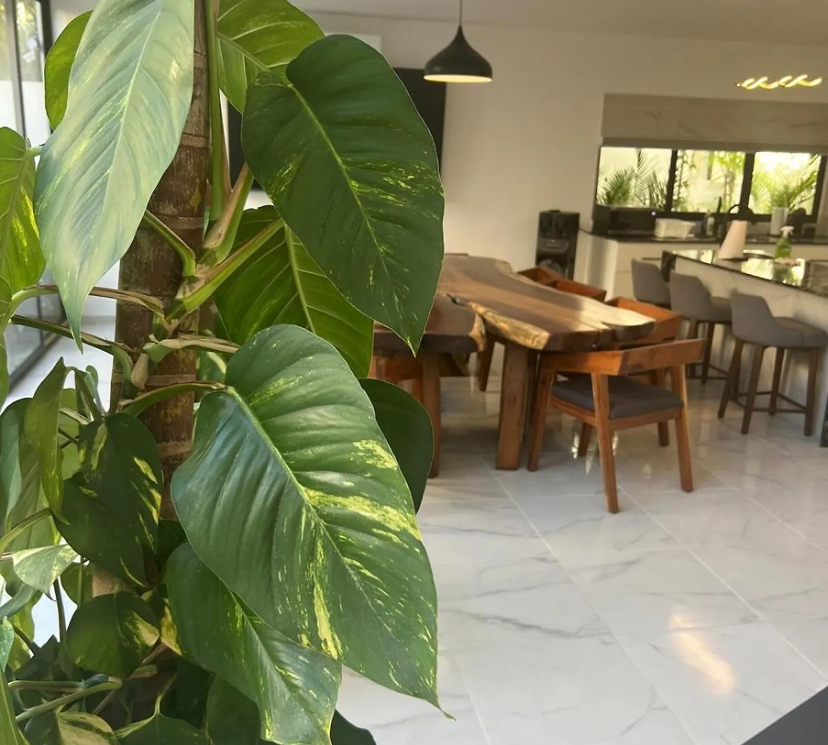 Luxury Vacation Villa Near The Caribbean Ocean Playa del Carmen