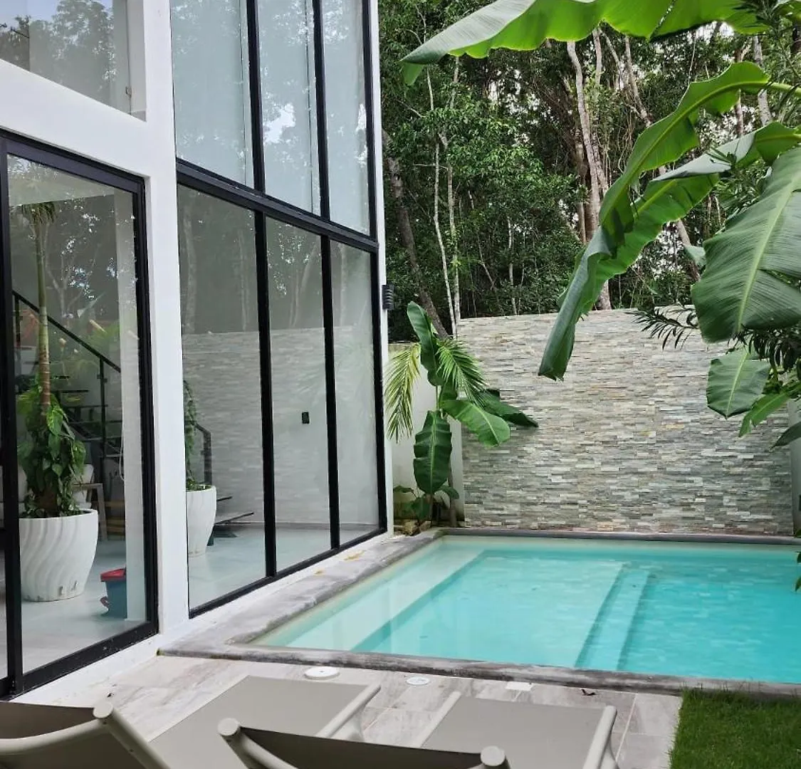 Luxury Vacation Villa Near The Caribbean Ocean Playa del Carmen Mexico