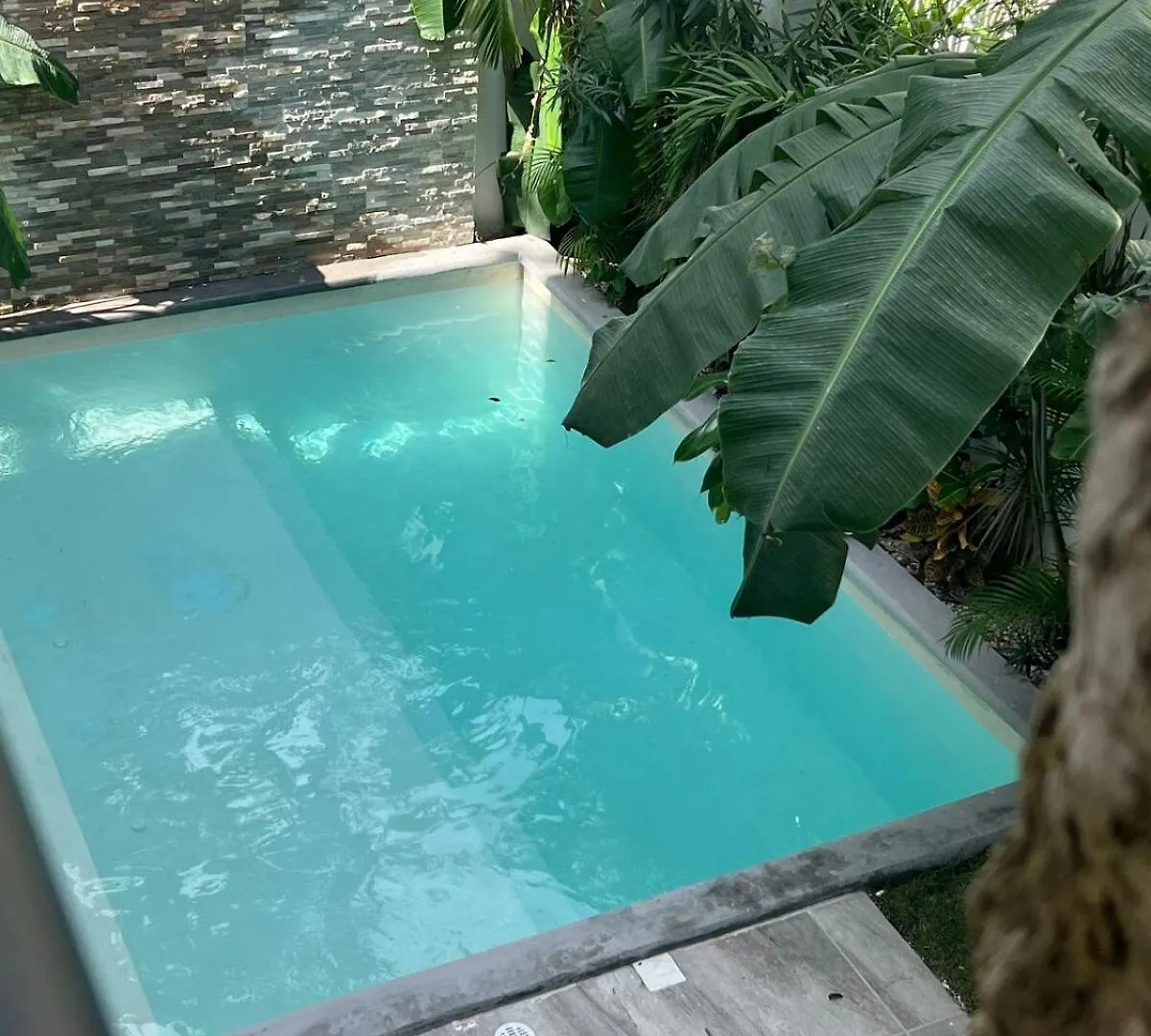 Luxury Vacation Villa Near The Caribbean Ocean Playa del Carmen Messico